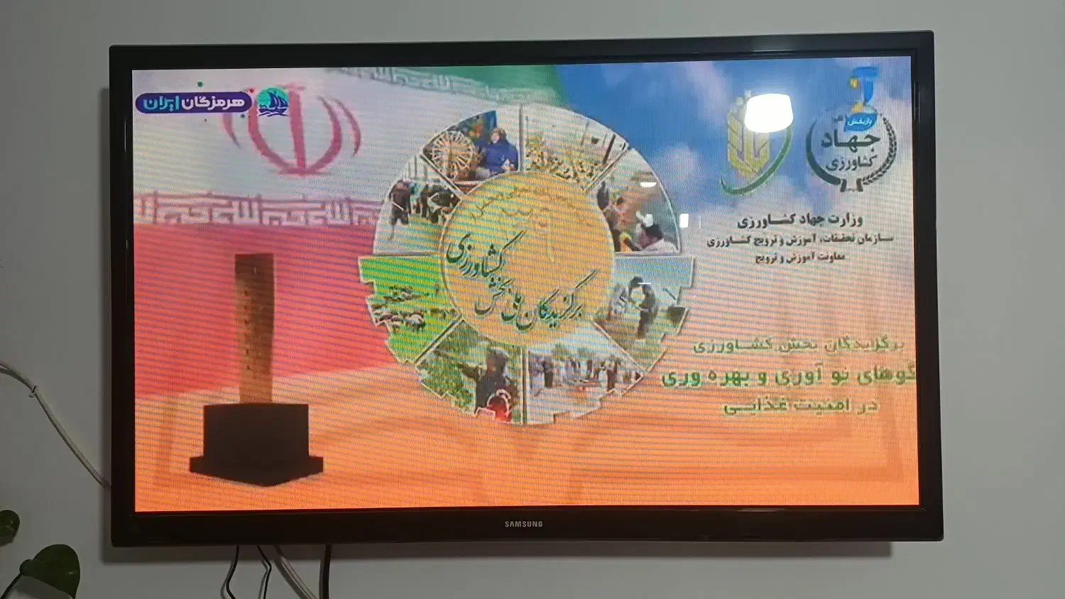 تلوزیون|تلویزیون و پروژکتور|تربت جام, کاریز نو سفلی|دیوار