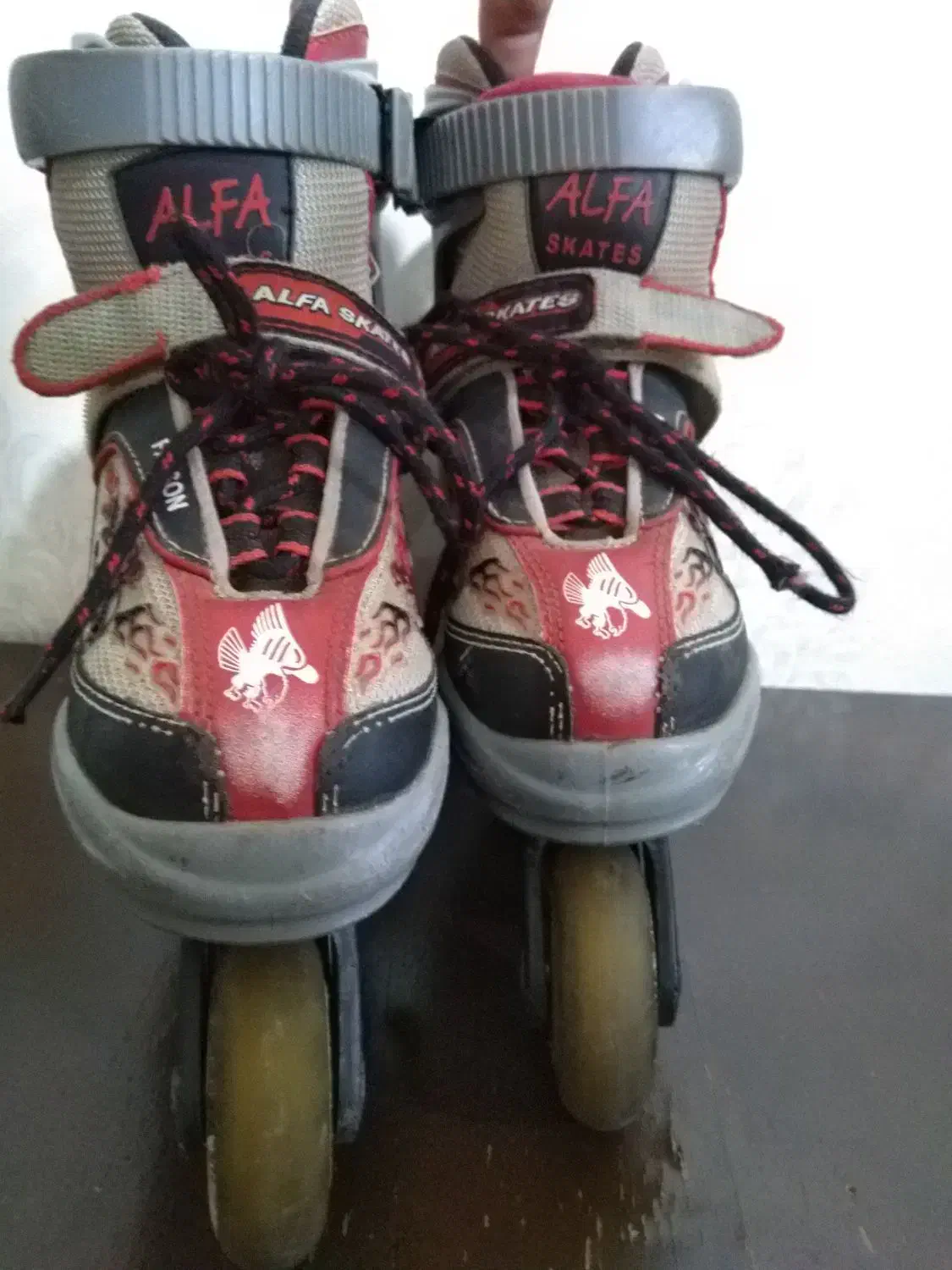 اسکیت آلفا|دوچرخه، اسکیت، اسکوتر|محمدیه-قزوین, |دیوار