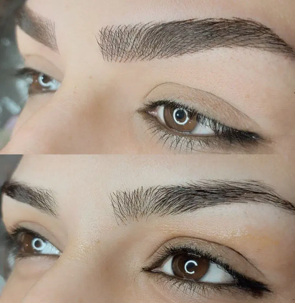 میکروبلیدینگ،فیبروز،شیدینگ‌ لب، کاشت مژه موقت،تاتو|خدمات آرایشگری و زیبایی|تهران, گرگان|دیوار