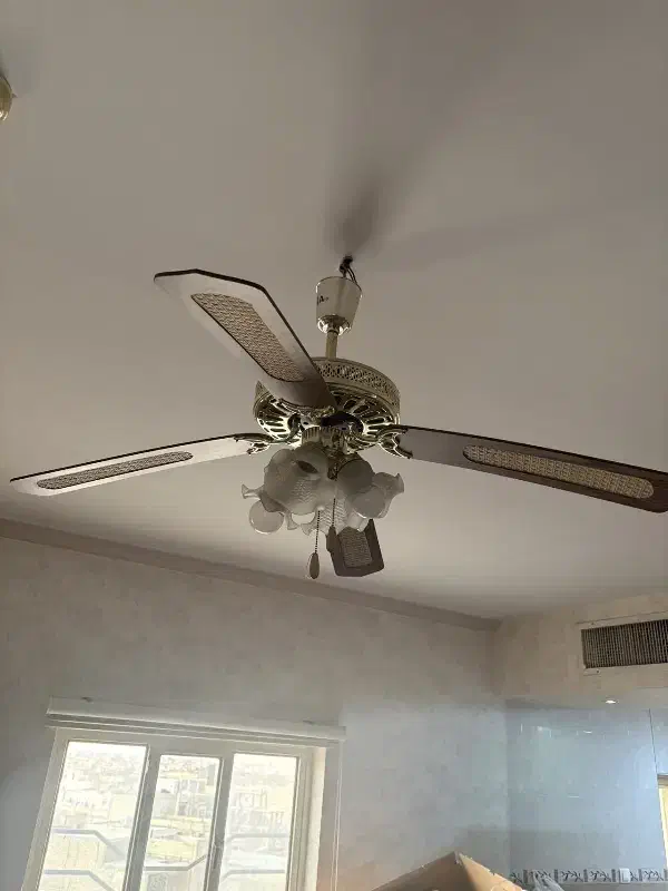 لوستر خاص|لوستر و چراغ آویز|یزد, |دیوار