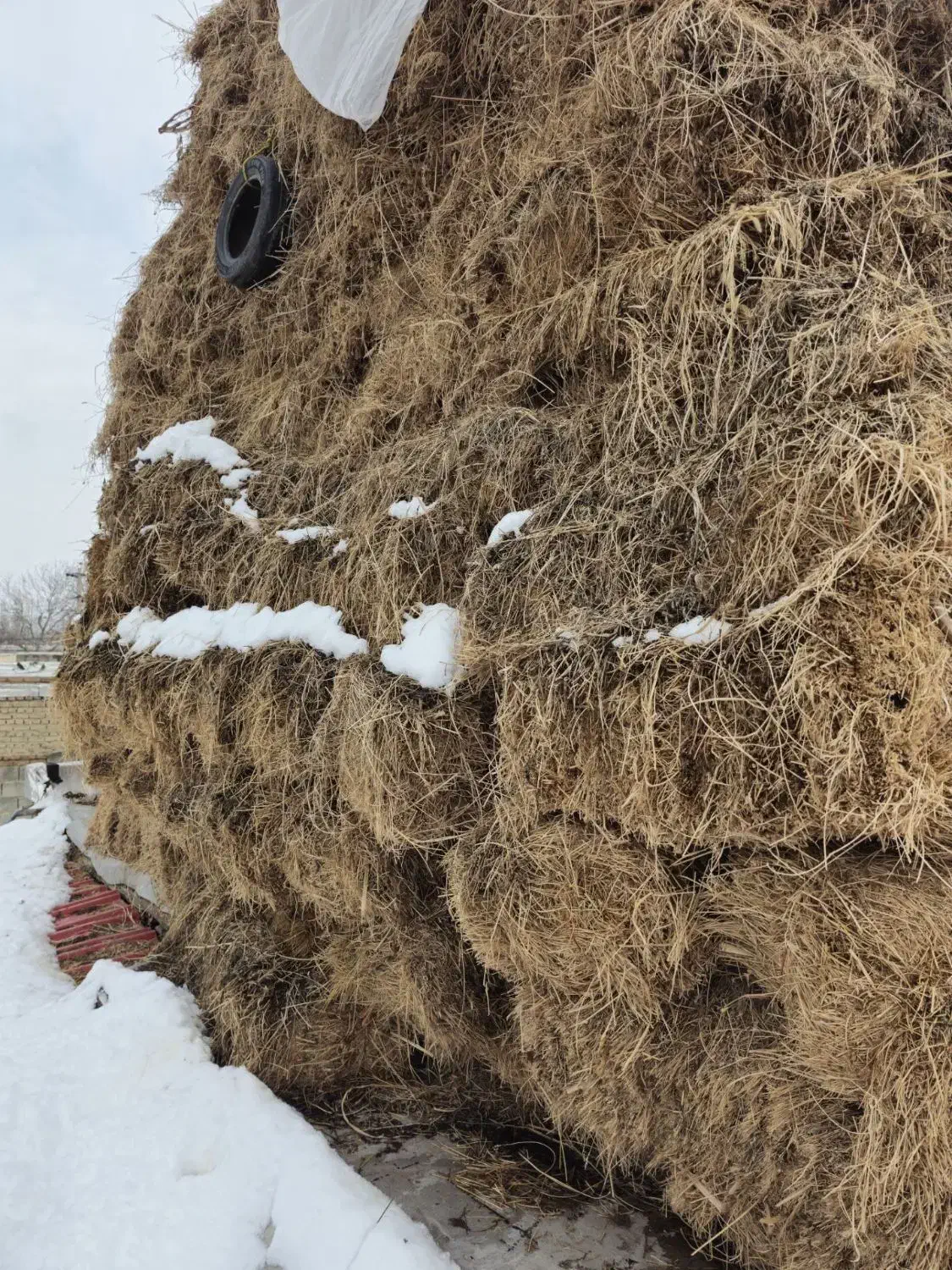 یونجه|لوازم جانبی حیوانات|نوشین شهر, |دیوار