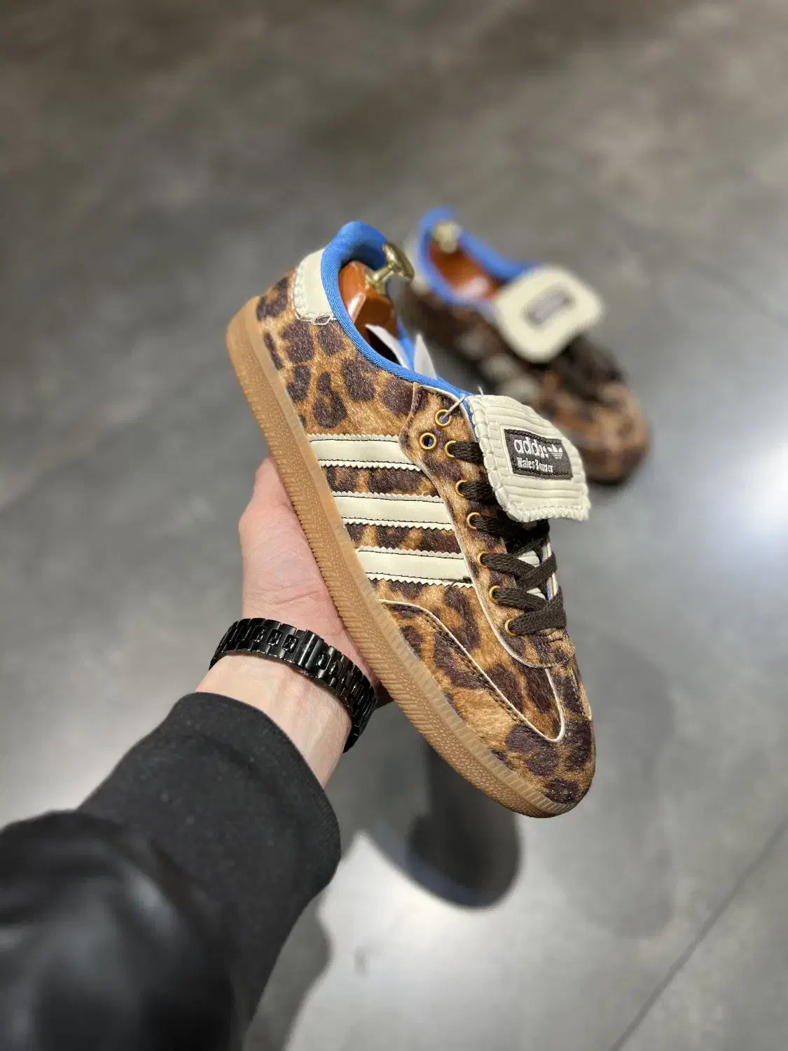 کتونی آدیداس سامبا|کیف، کفش، کمربند|تهران, امام زاده حسن|دیوار