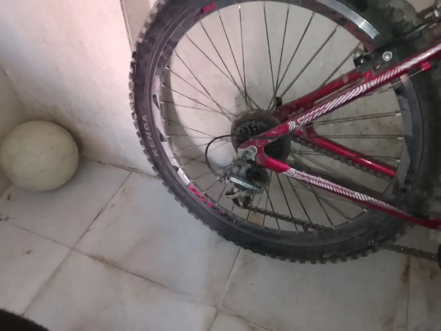 دوچرخه ویوا اصلی|دوچرخه، اسکیت، اسکوتر|مریوان, |دیوار