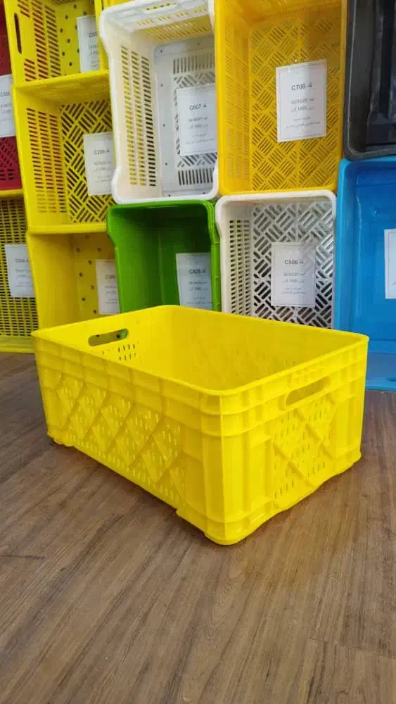 سبد مرغ ۲ کیلویی|عمدهفروشی|پاکدشت, پاکدشت (مامازند)|دیوار