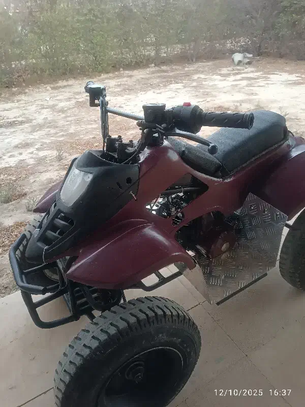 موتور چهارچرخ فالکون ۱۱۰cc|موتورسیکلت|بوشهر, |دیوار