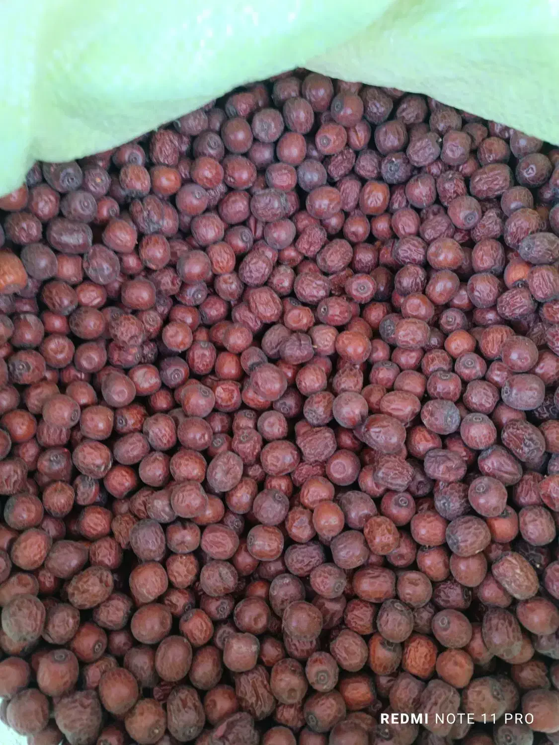 فروش کلی و جزئ عناب در بیرجندومشهد|خوردنی و آشامیدنی|مشهد, شهید بهشتی|دیوار