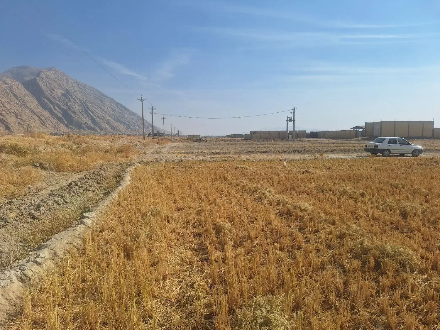 زمین کشاورزی|فروش دفتر صنعتی، کشاورزی، تجاری|درودزن, |دیوار