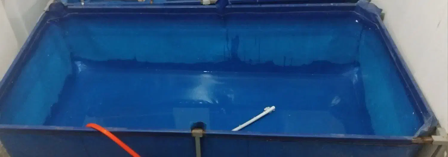 استخر اینتکس|غواصی و ورزش‌های آبی|نیشابور, هفده شهریور|دیوار