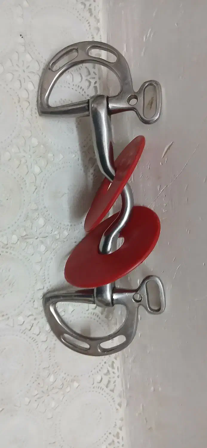 دهنه D|اسب و تجهیزات اسب‌سواری|شاهین‌شهر, گزبرخوار|دیوار