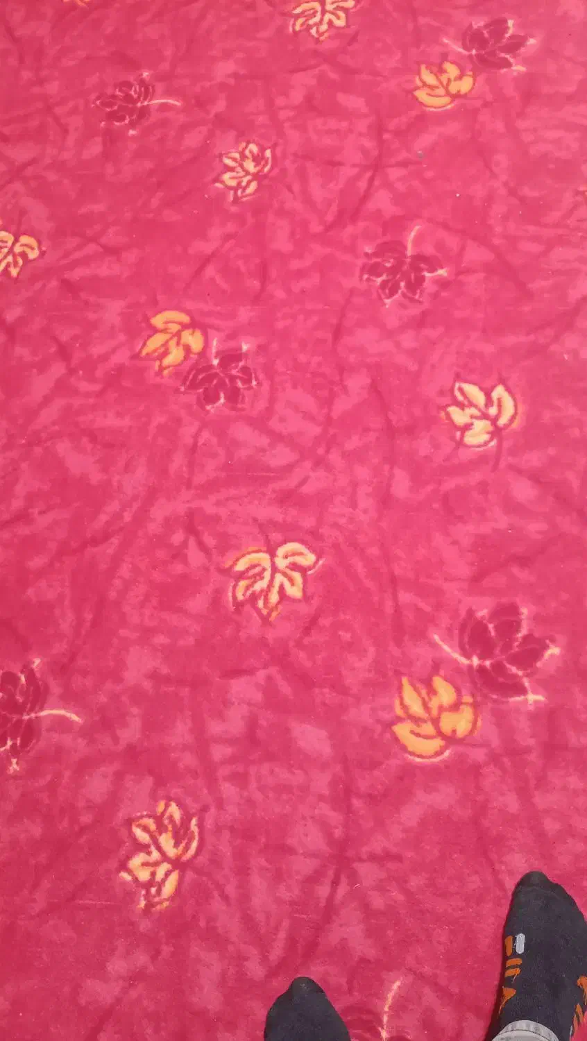 موکت سالم و تمیز|موکت|آبیک, |دیوار