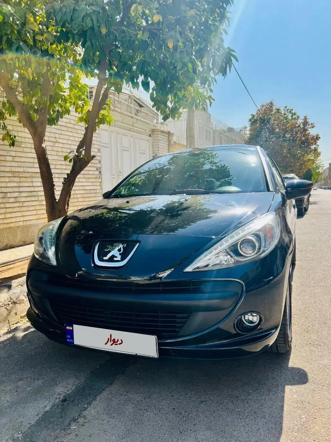 207 پانارونا ۱۴۰۳ ارتقا یافته|خودرو سواری و وانت|شیراز, فرهنگ شهر|دیوار