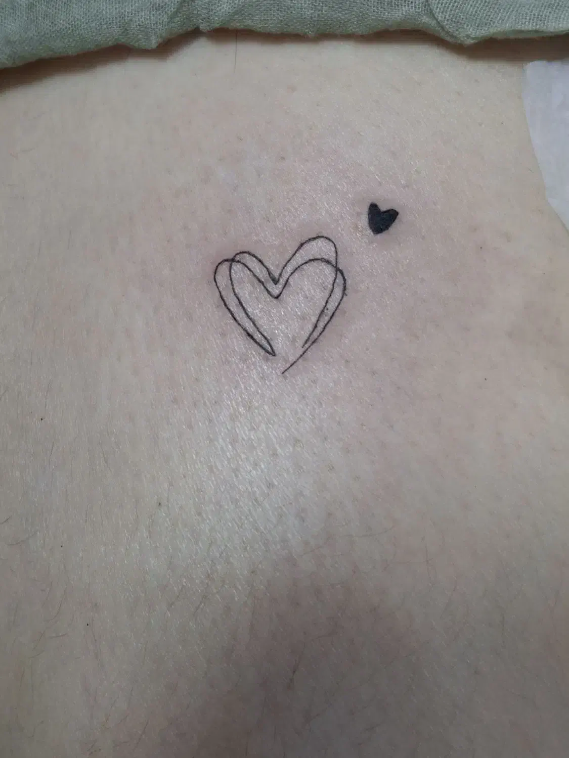 تتو|خدمات آرایشگری و زیبایی|رشت, کاکتوس|دیوار