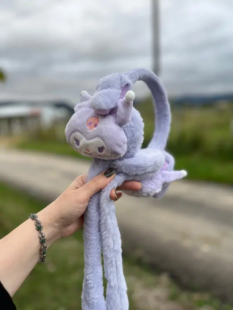 گوشگیر|لباس|رشت, دروازه لاکان|دیوار