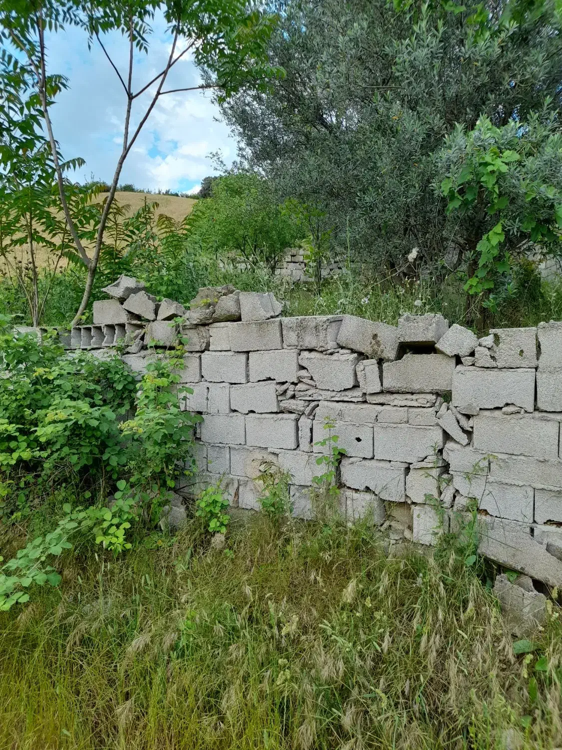 باغچه 150 متر مربع در روستای توشن  گرگان|فروش زمین و ملک کلنگی|گرگان, |دیوار