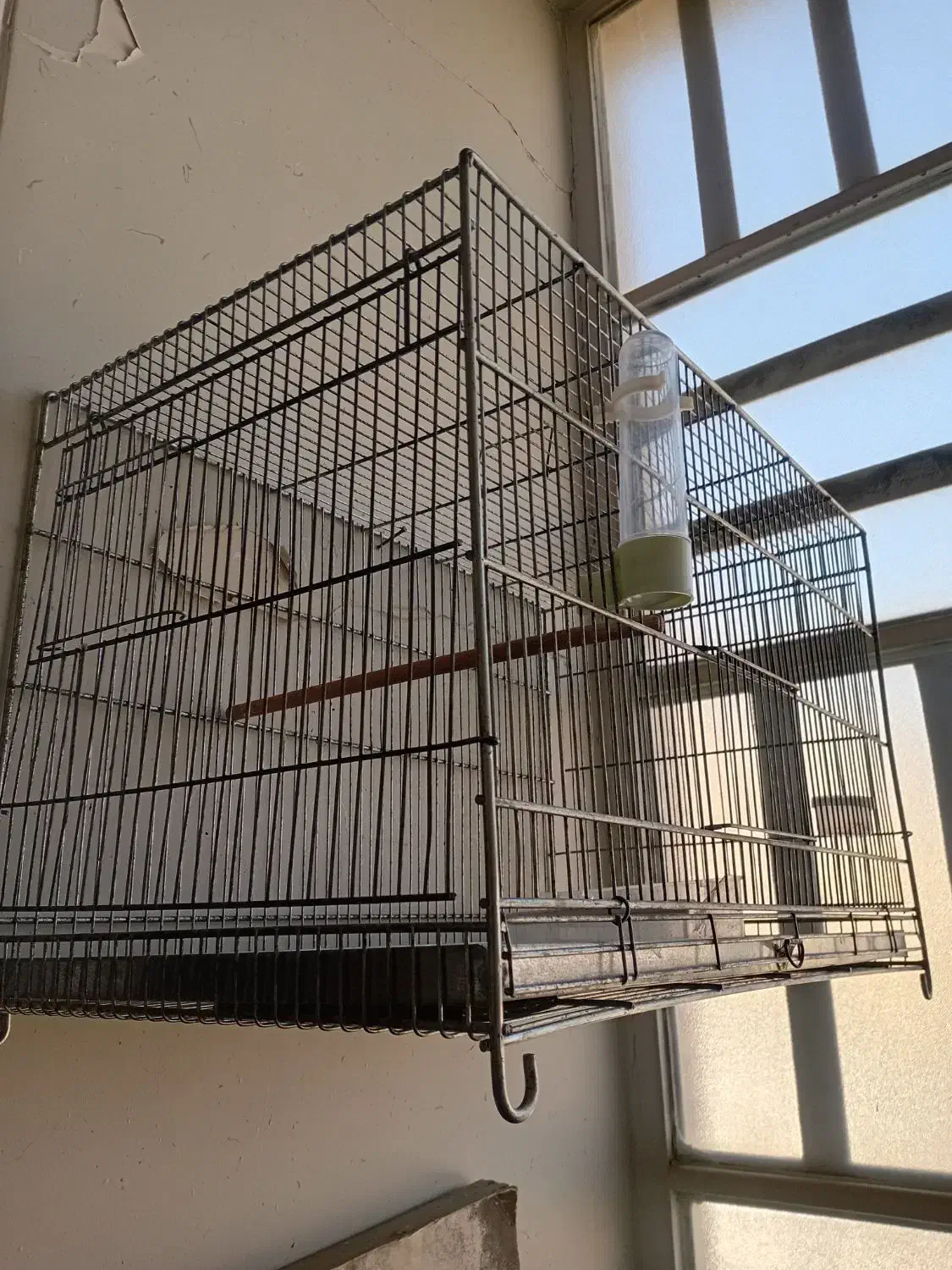 قفس|لوازم جانبی حیوانات|شیراز, میانرود|دیوار