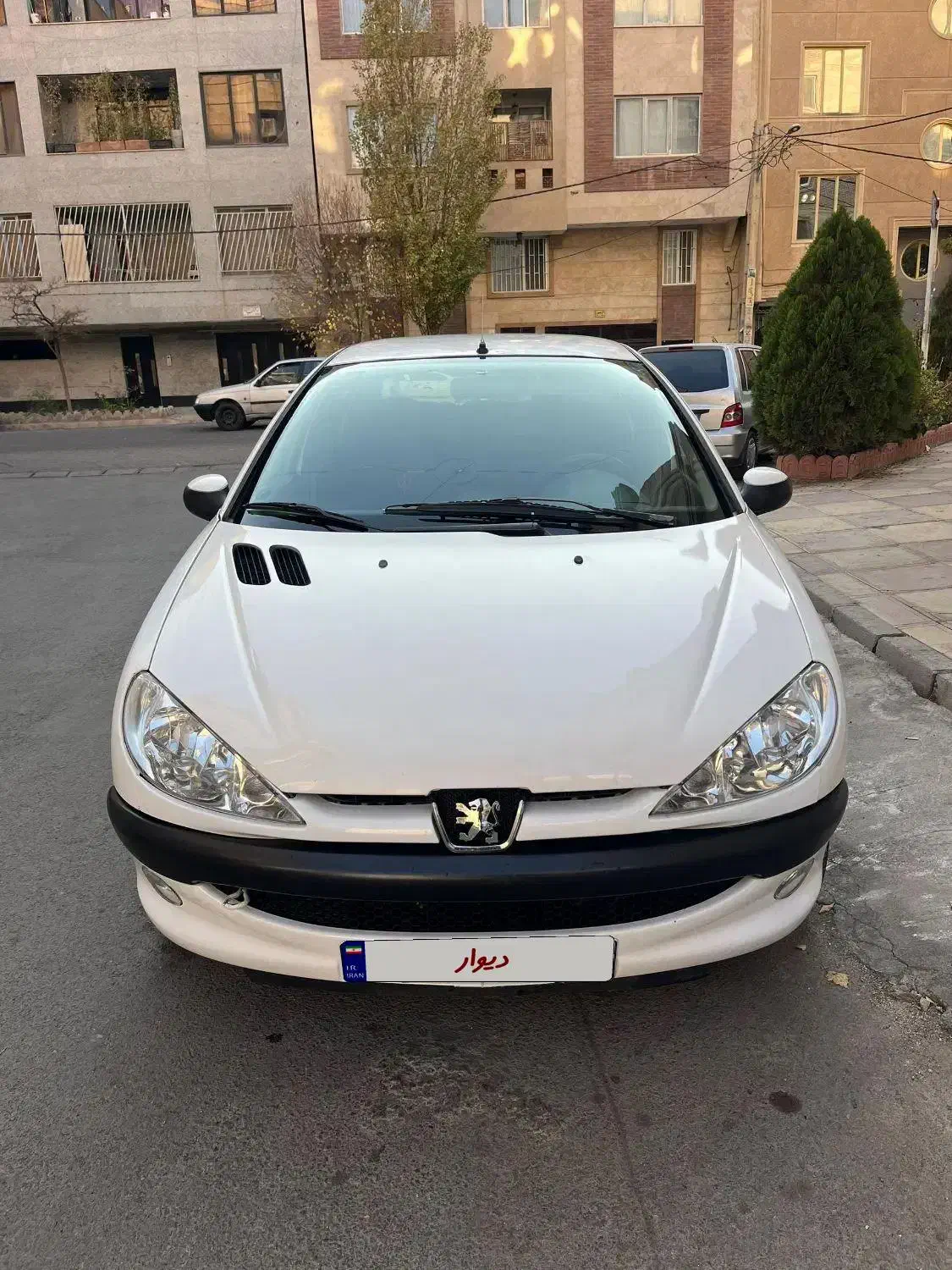 206 sd مدل 96|خودرو سواری و وانت|کرج, کوی زنبق|دیوار