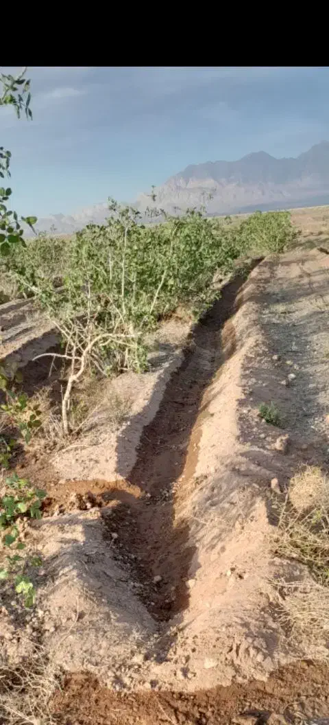 فروش زمین کشاورزی|فروش زمین و ملک کلنگی|نگار, |دیوار