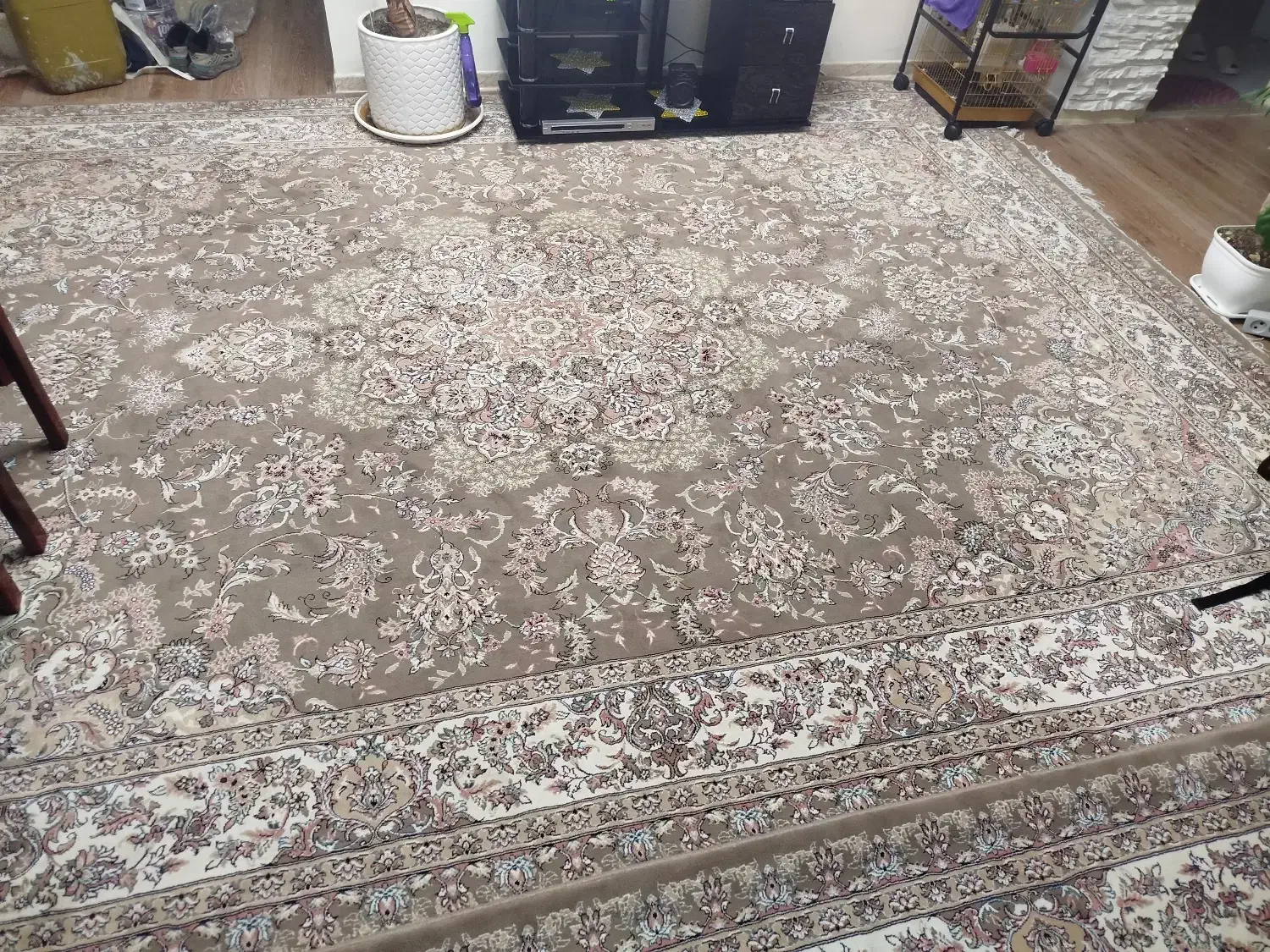 فرش 12متری|فرش|پردیس, فاز ۳|دیوار