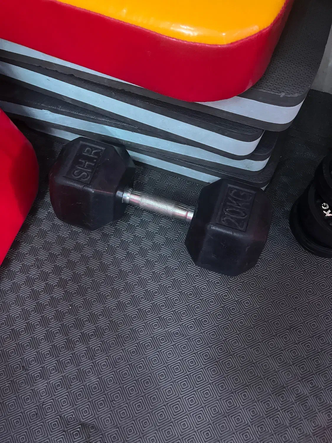 دمبل ۲۰کیلویی|تجهیزات ورزشی|شیراز, شریفآباد|دیوار