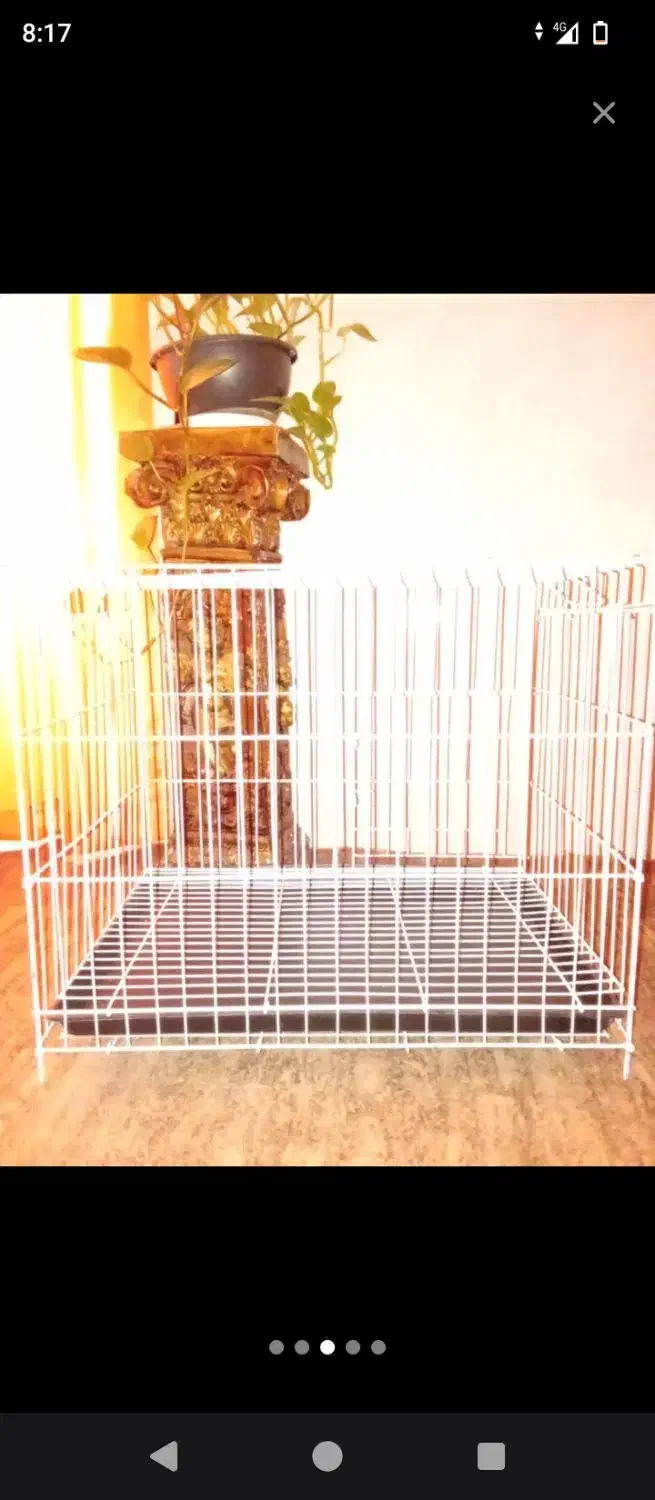 قفس بزرگ پرنده نو|لوازم جانبی حیوانات|بوشهر, |دیوار