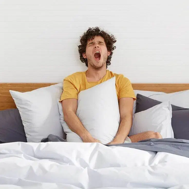 رویال طرح عیدانه نوروز باستانی تشک|تشک تختخواب|شاهین‌شهر, نظامی|دیوار