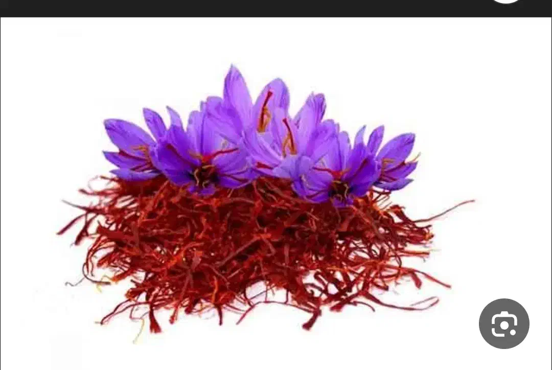 پخش گل زعفران|خدمات باغبانی و درختکاری|گلبهار, شهر جدید گلبهار|دیوار