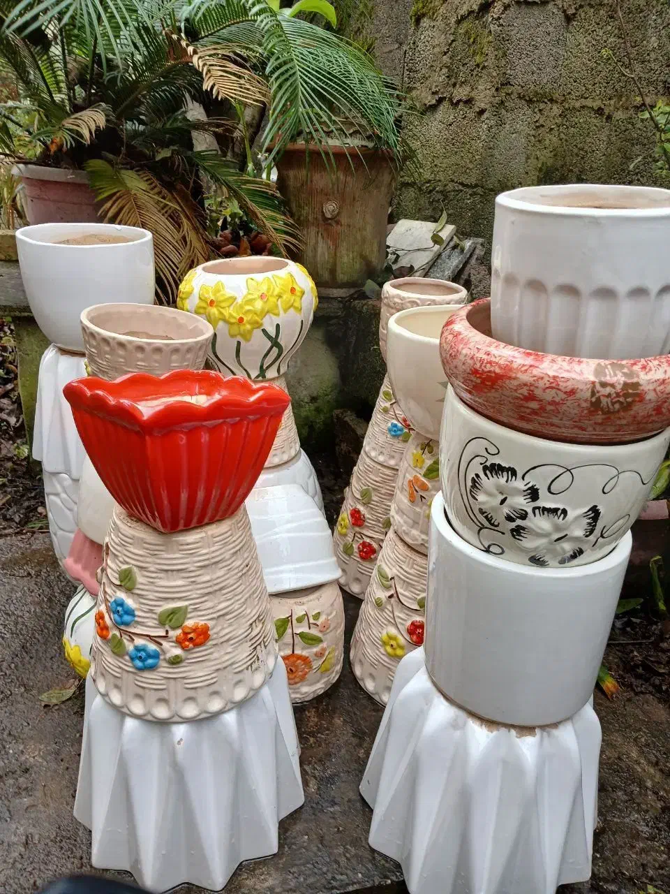 گلدان های سفالی سالم|گل و گیاه طبیعی|لاهیجان, کوی خزر|دیوار