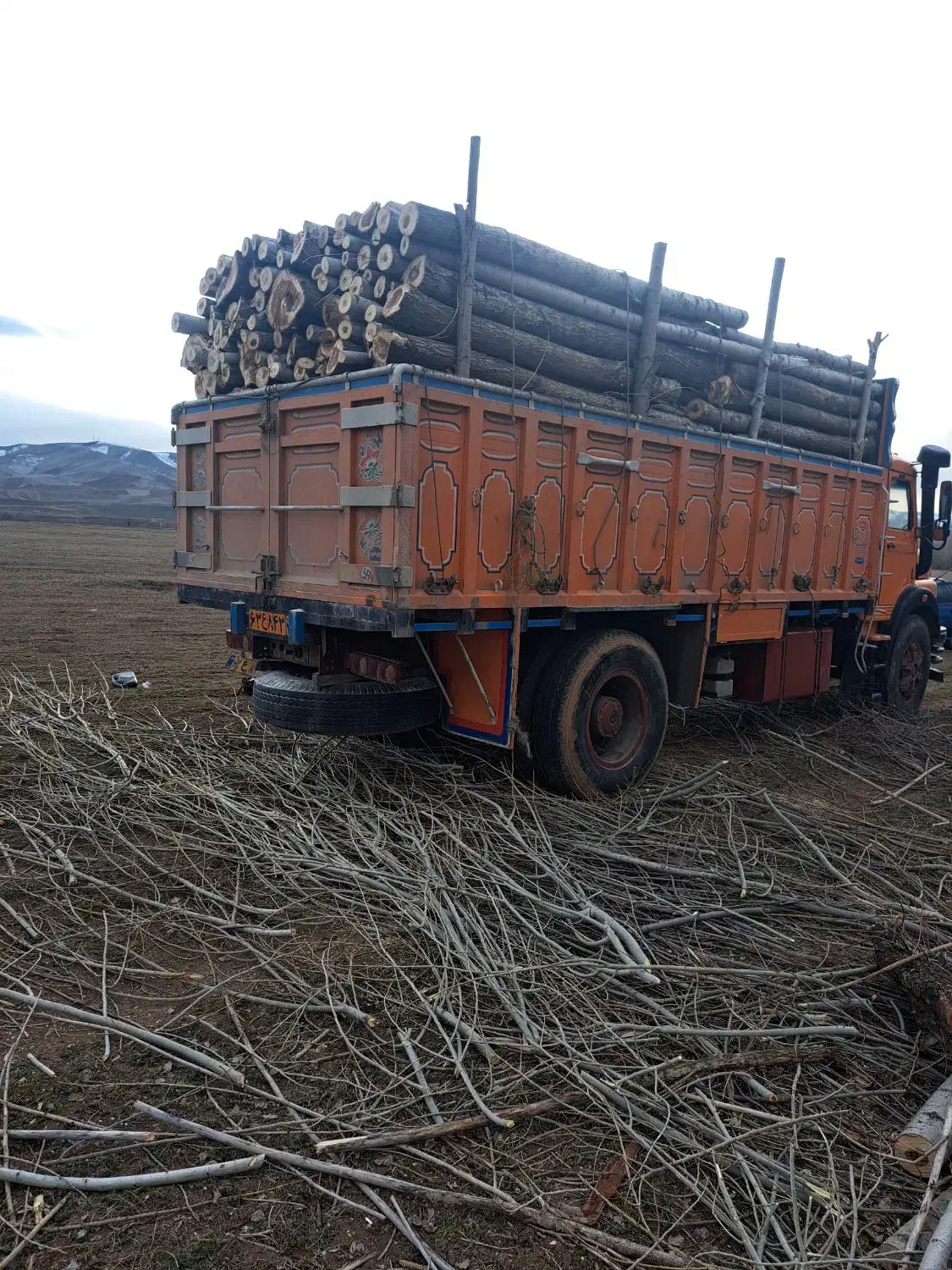 خرید چوب ودرخت|خدمات باغبانی و درختکاری|خرم‌آباد, |دیوار