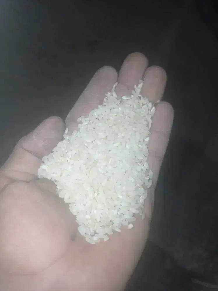 برنج اصل کامفیروز به شرط|عمدهفروشی|کامفیروز, |دیوار