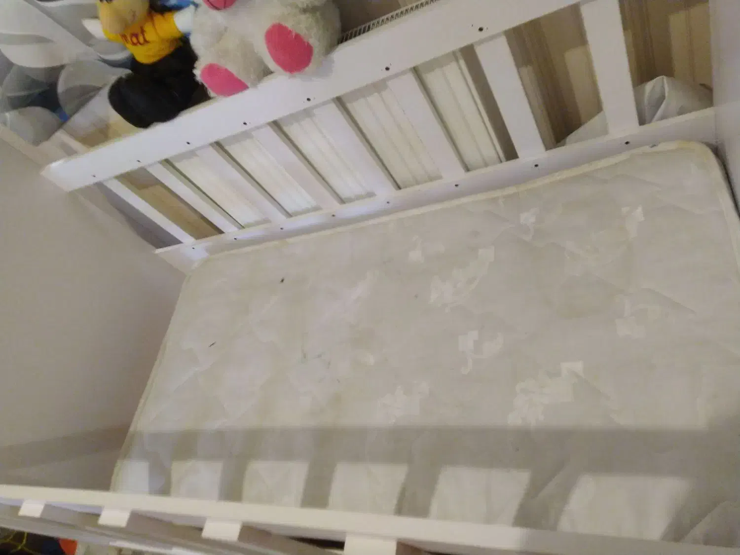 تخت کودک تختخواب کودک باتشک و میز ناهارخوری لترون|اسباب و اثاث بچه|اسلامشهر, مظفریه|دیوار