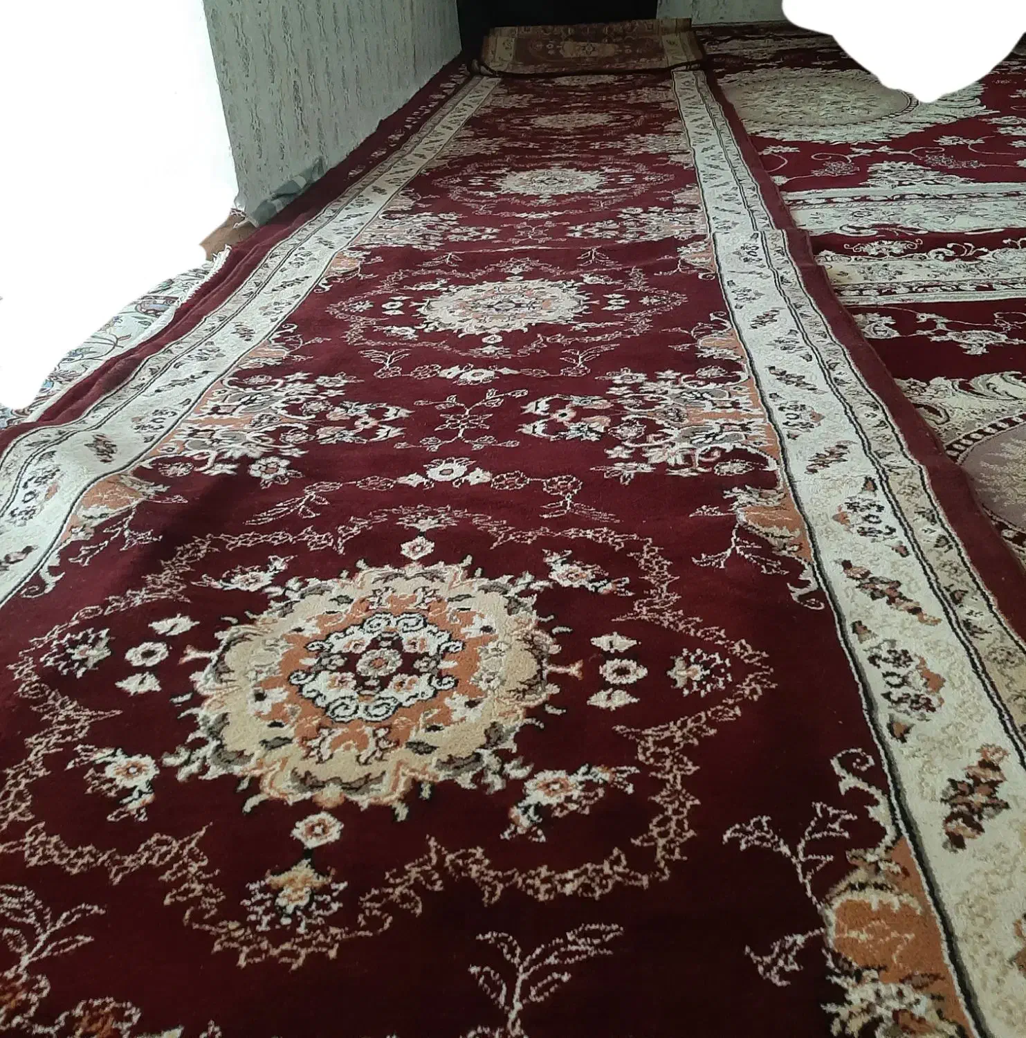 کناره فرش ۲۸ متری|فرش|دینور, |دیوار