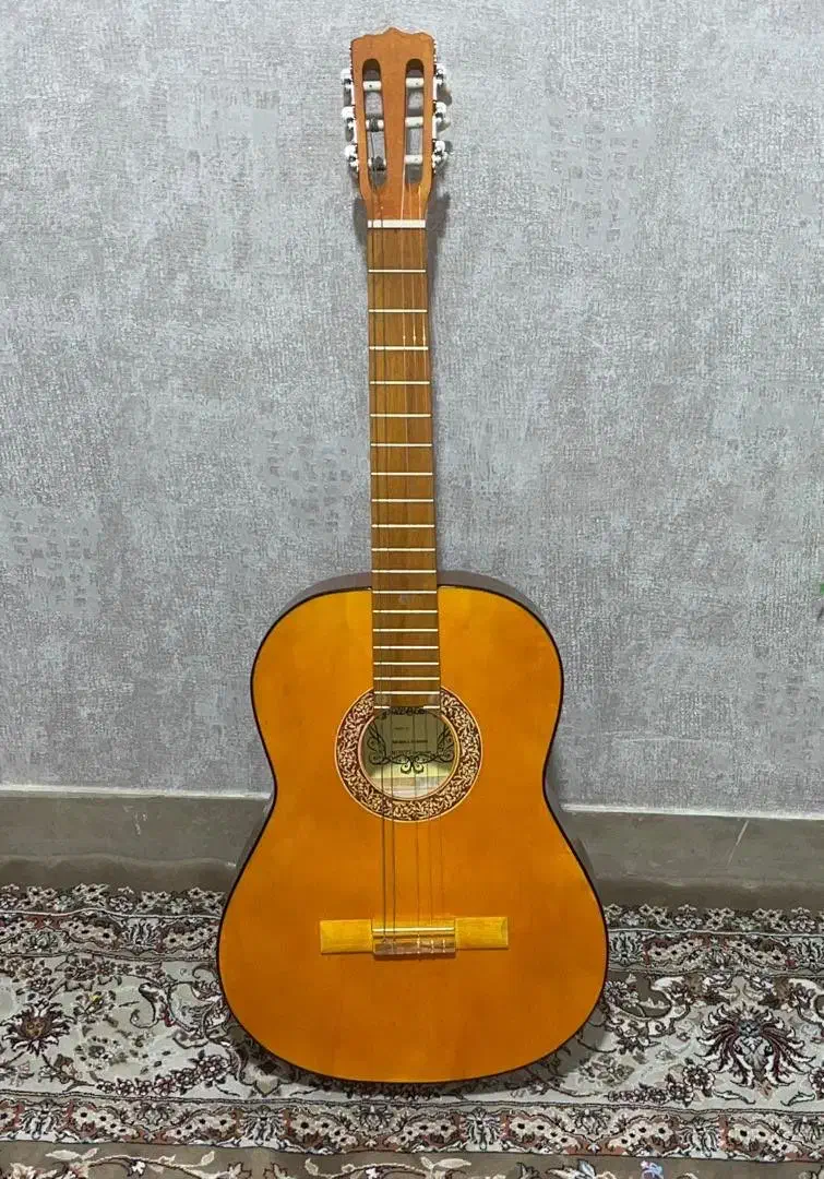 گیتار|گیتار، بیس، امپلیفایر|شیراز, غدیر جنوبی|دیوار