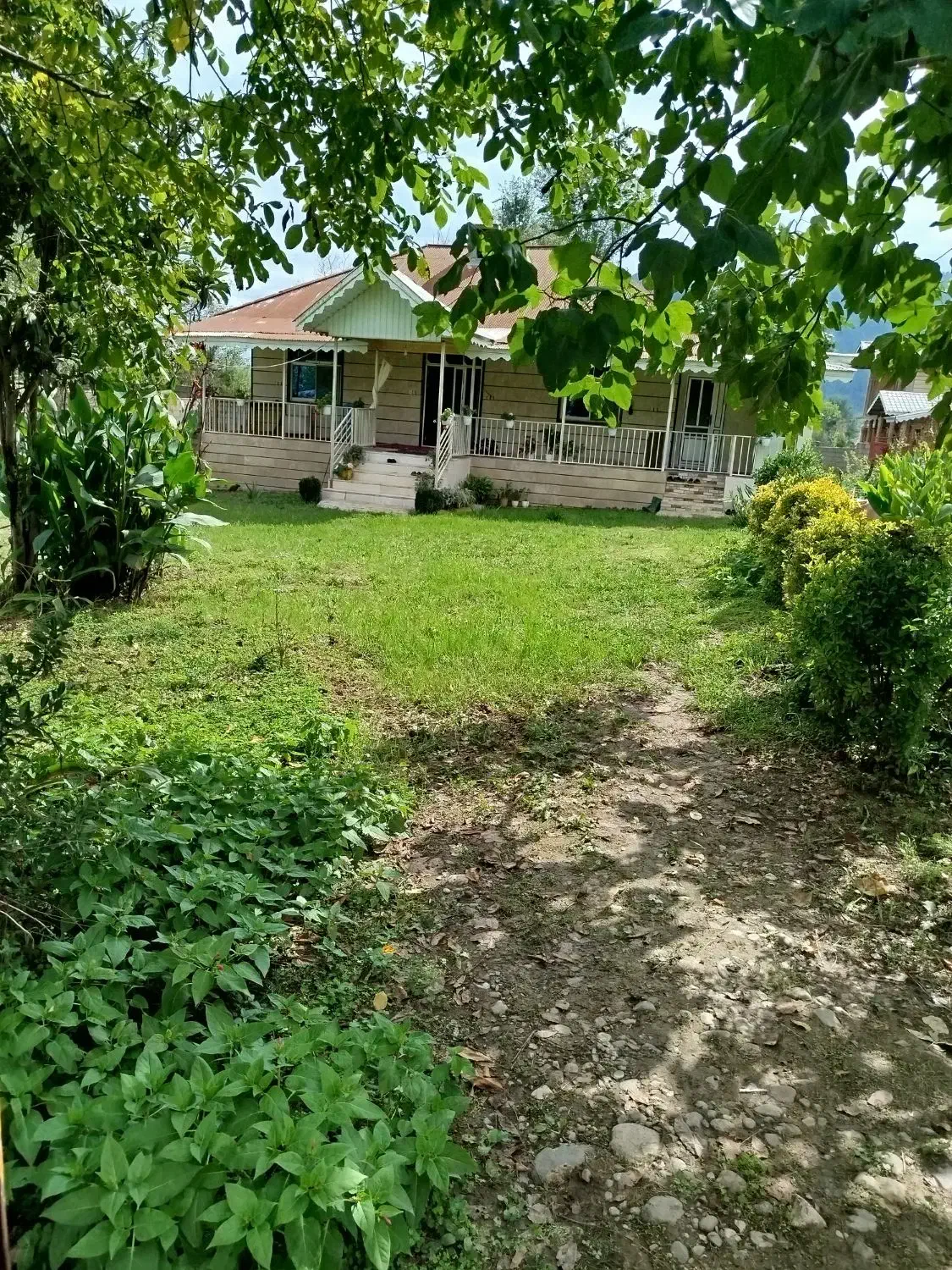 650متر زمین 100بنا تک برگ سند پای کوه شاندرمن|فروش خانه و ویلا|ماسال, |دیوار