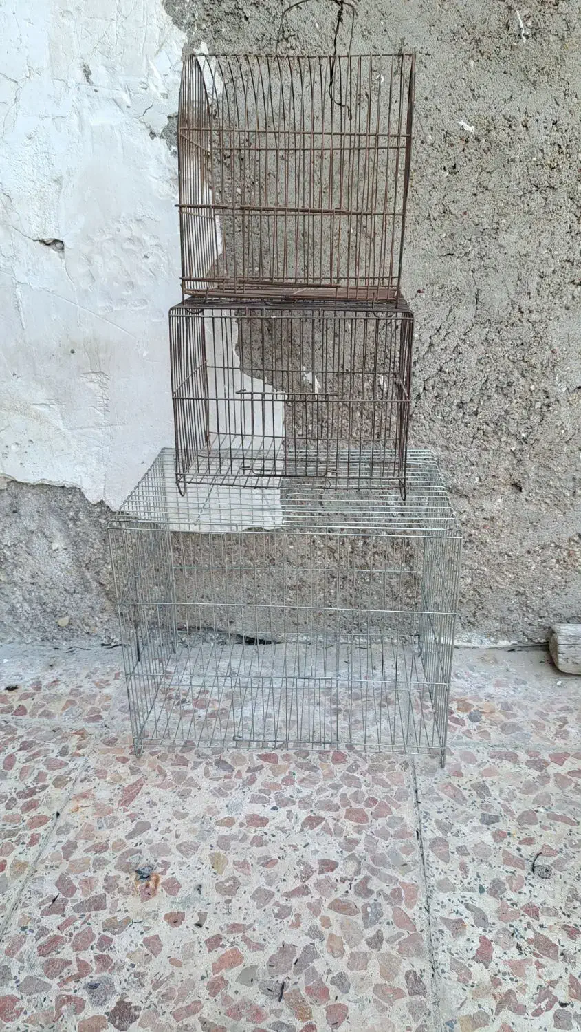 قفس|لوازم جانبی حیوانات|باوی, |دیوار