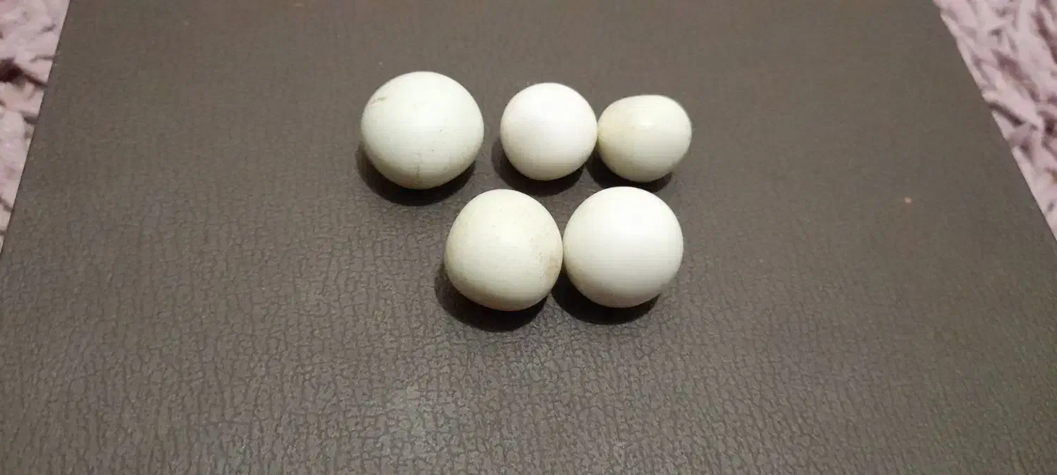 سنگ الماس آسیاب اصل|جواهرات|گرگان, |دیوار