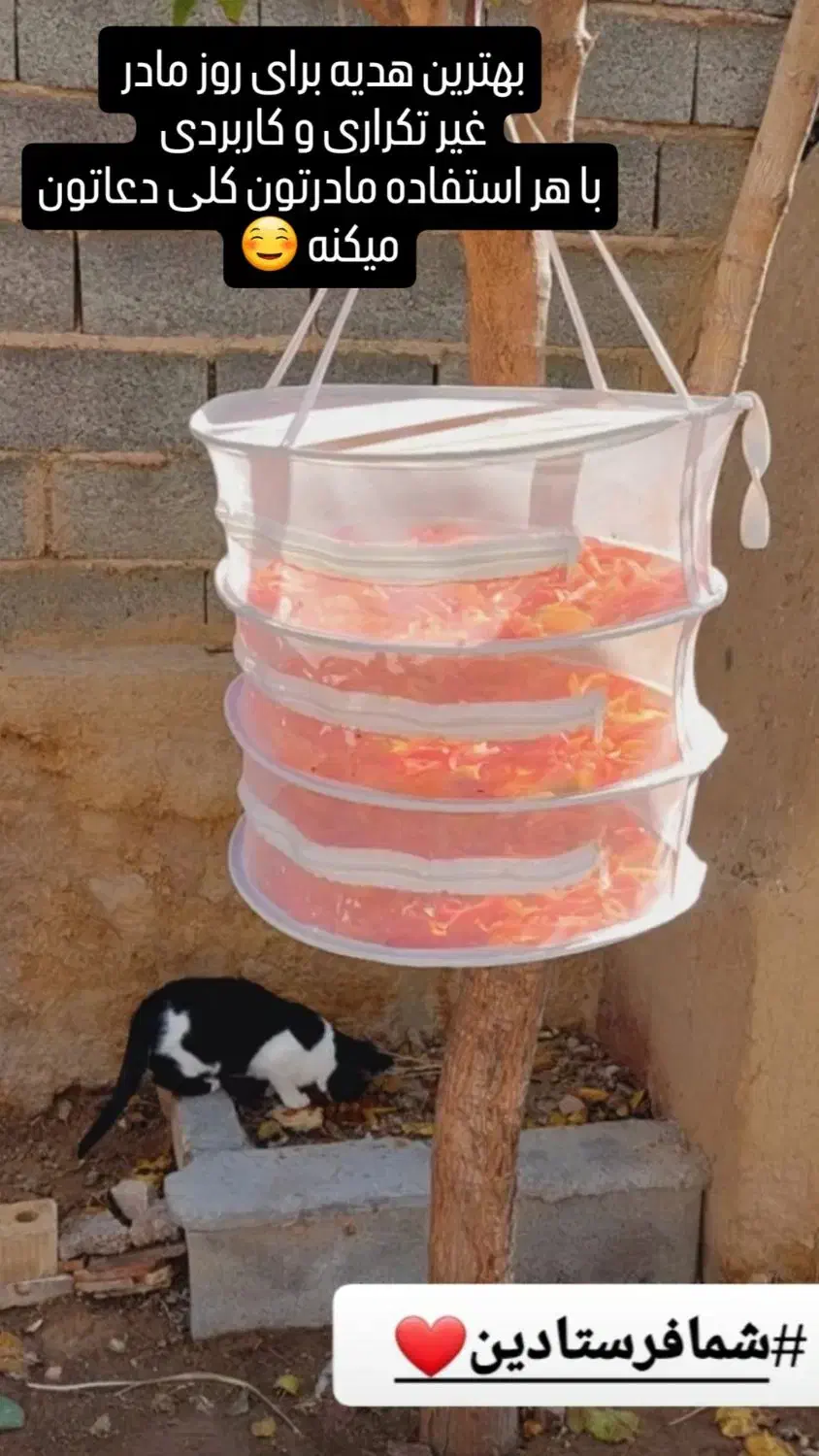 توری میوه و سبزی خشک کن|ظروف نگهدارنده، پلاستیکی، یکبارمصرف|شیراز, شهرک قمشه|دیوار