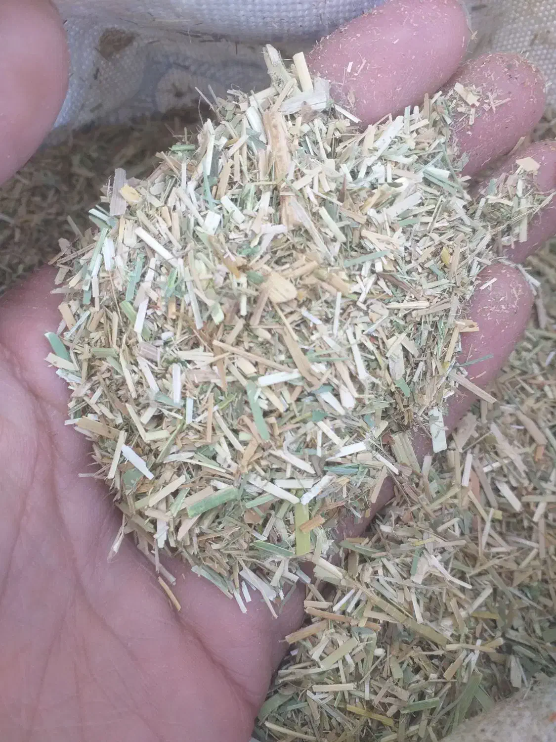 کاه یونجه کوبیده شده با خرمن کوب فریمان|لوازم جانبی حیوانات|مشهد, طلاب|دیوار