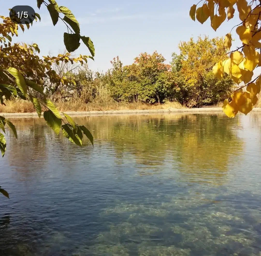 اجاره زمین کشاورزی|اجارهٔ دفتر صنعتی، کشاورزی، تجاری|گلپایگان, |دیوار