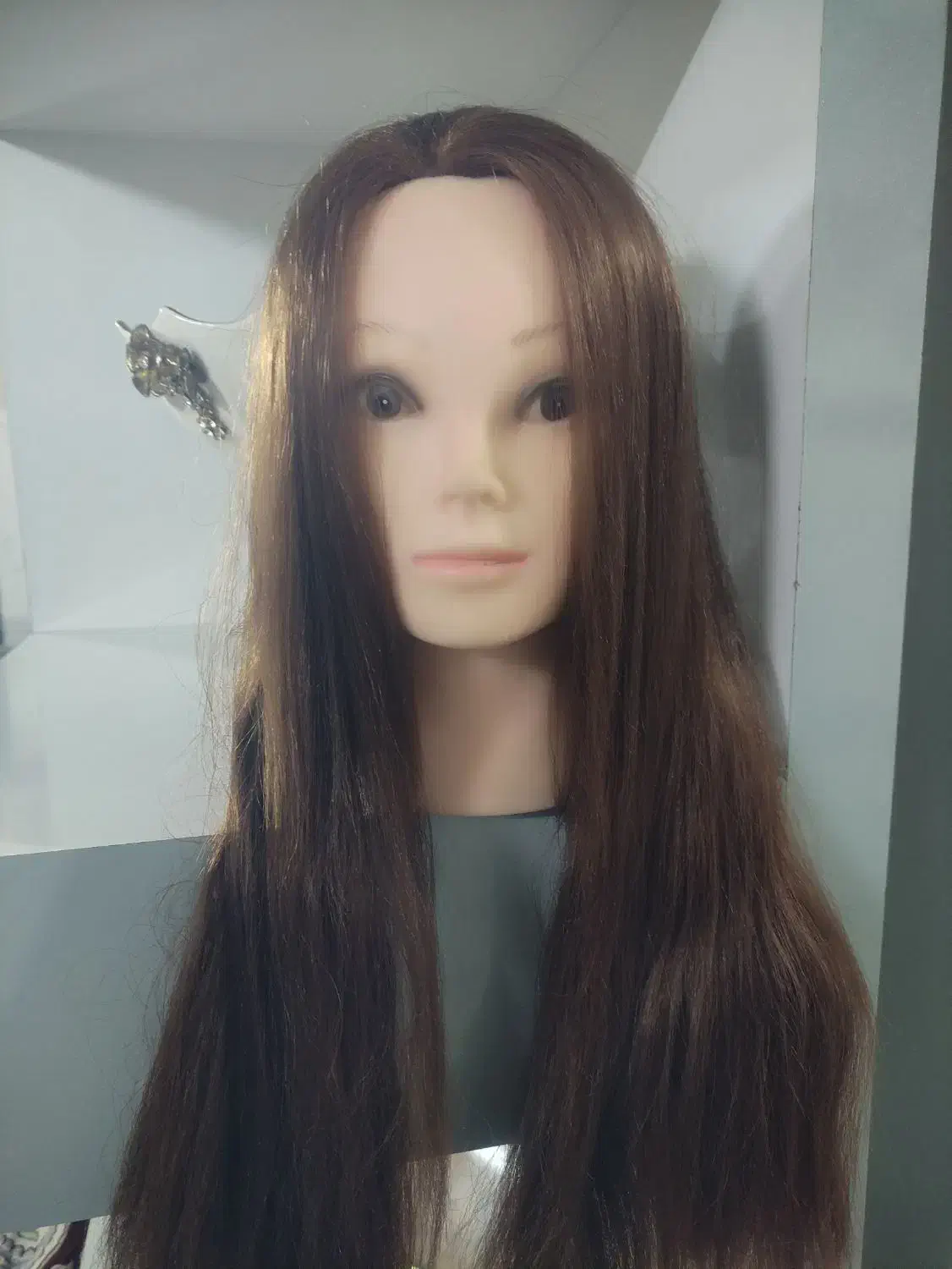 مانکن سر|آرایشگاه و سالن‌های زیبایی|قوچان, |دیوار