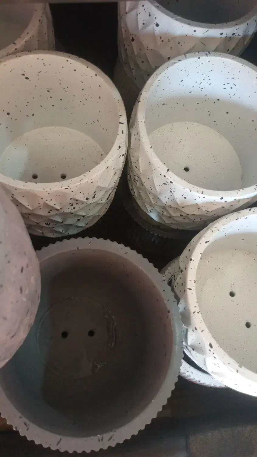 حراج تعدادی گلدان حراج|گل و گیاه طبیعی|سیرجان, |دیوار