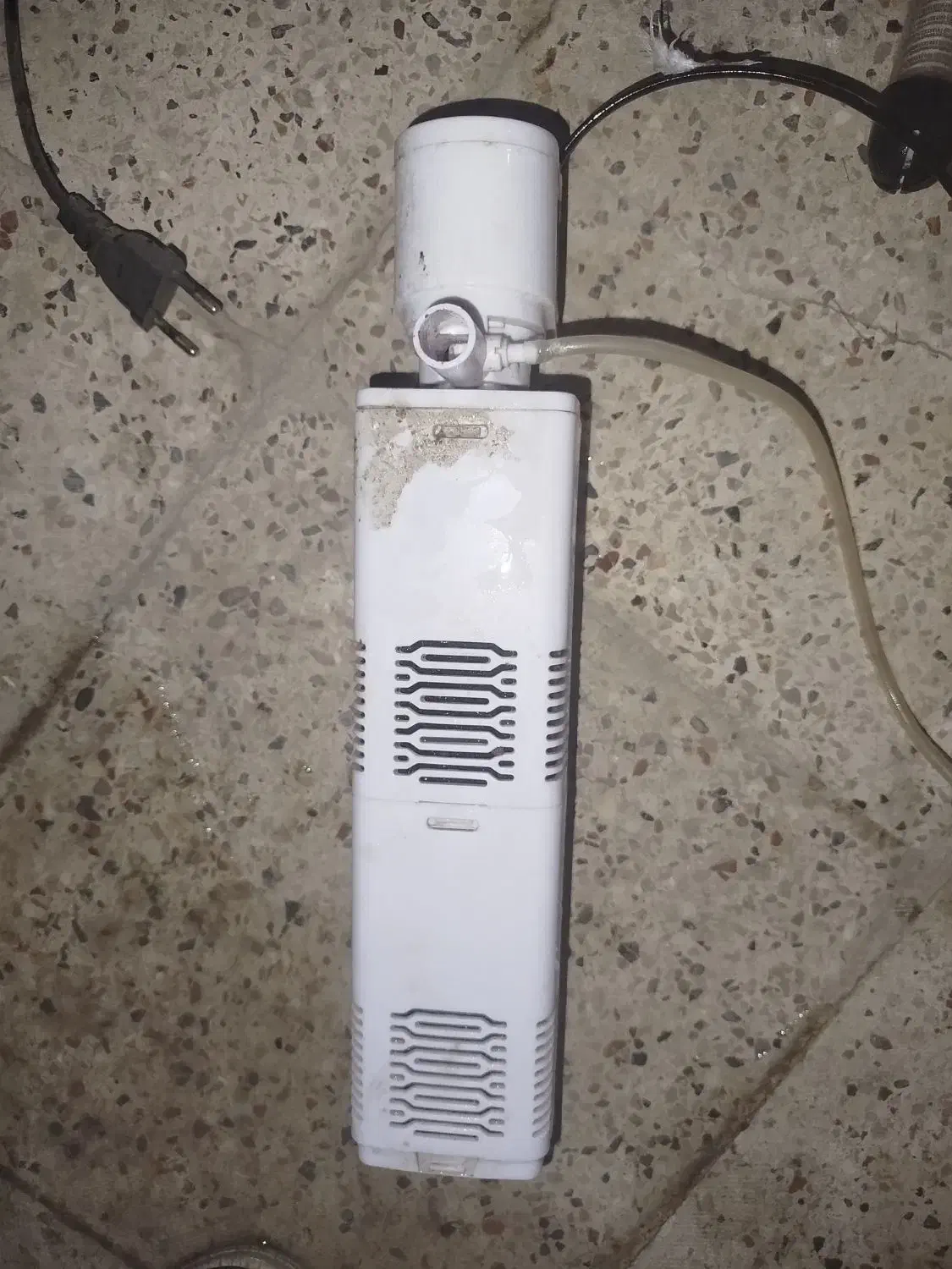 آکواریوم و لوازم|ماهی|مشهد, بهمن|دیوار