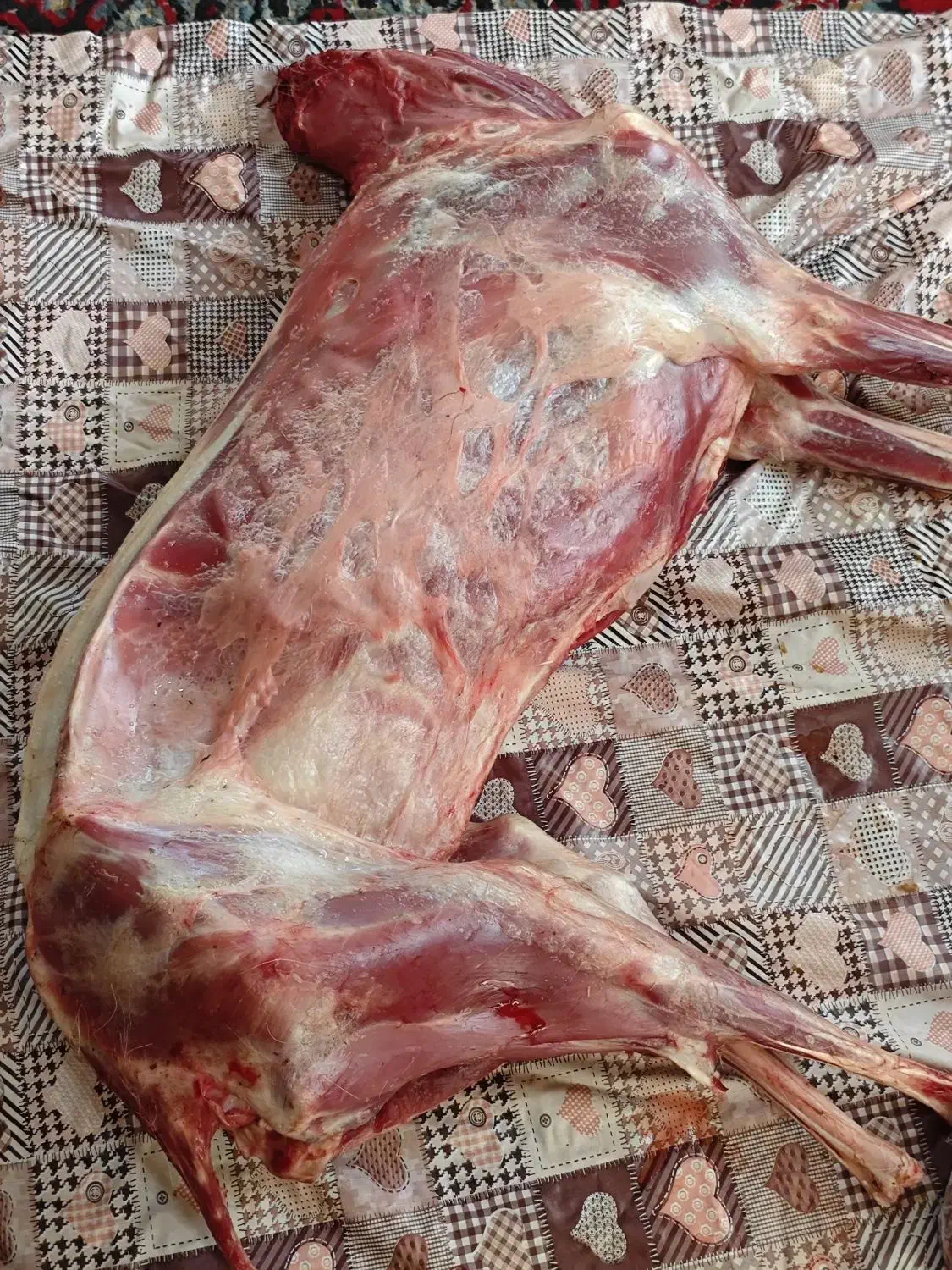 گوشت بزغاله|خوردنی و آشامیدنی|سبزوار, توحیدشهر|دیوار