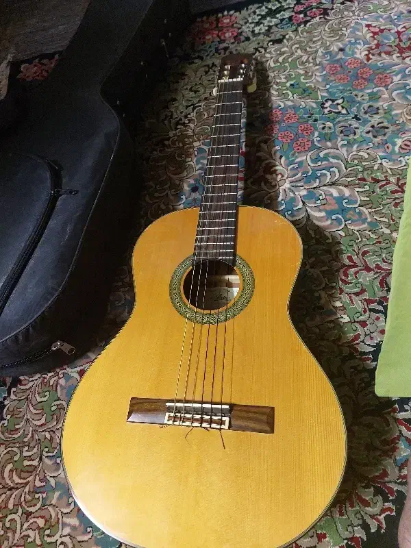 گیتار ژاپنی اصل|گیتار، بیس، امپلیفایر|اصفهان, گرکان|دیوار