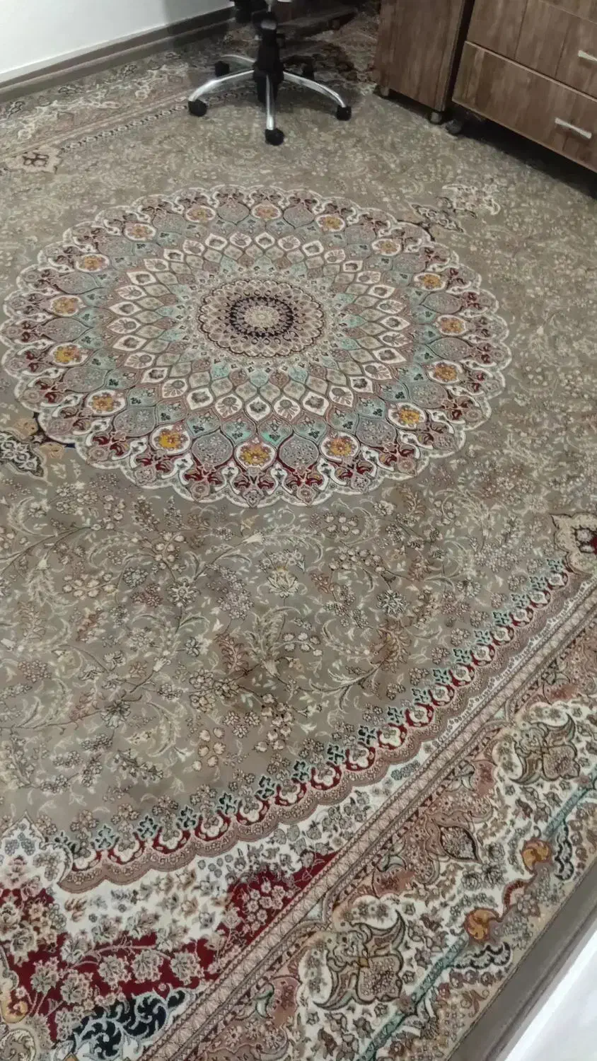 فرش|فرش|قم, زند آباد|دیوار