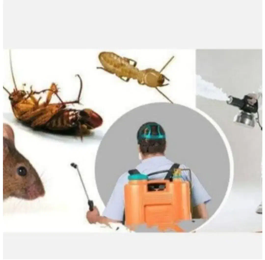 سم پاشی دورشهر و صفاییه.سمپاشی بلوارسـمیه هنرستان|خدمات نظافت|قم, عمار یاسر|دیوار