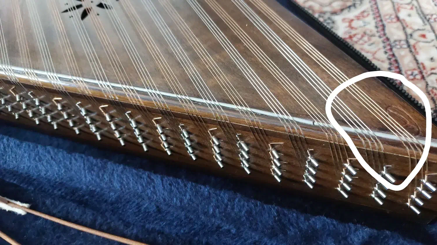 سنتور دو مهر ساور|سازهای سنتی|سنندج, |دیوار