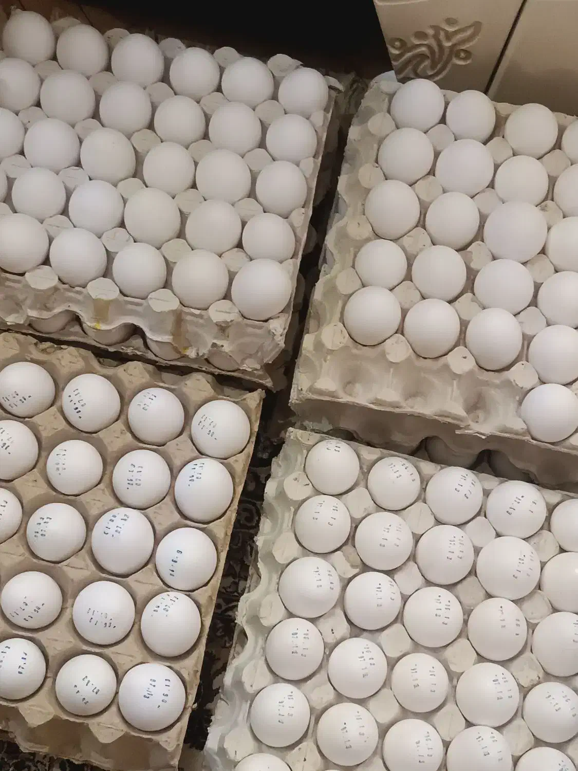 تخم مرغ زرده طلایی پس سورت زیر قیمت مرغداری|خوردنی و آشامیدنی|فردیس, قریشی|دیوار