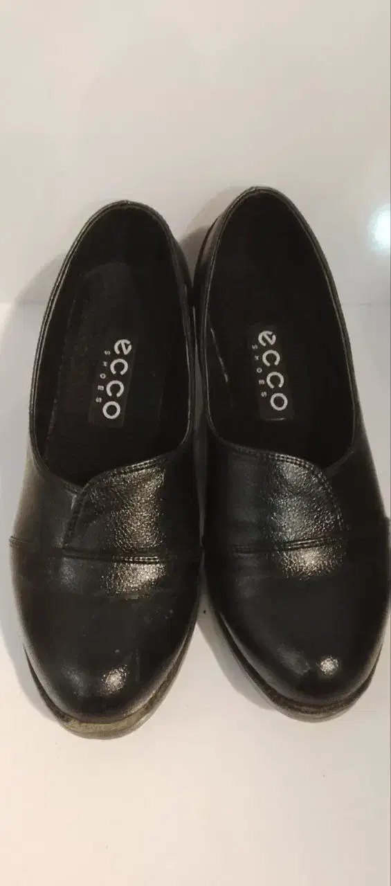 بالتو بزرگسال  .بچه گانه.بخارپز.کفش|لباس|اشنویه, |دیوار