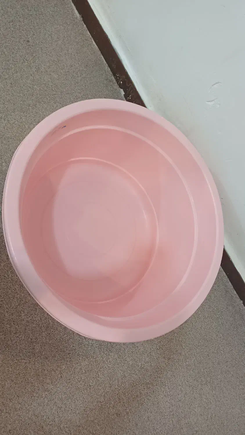 تشت بزرگ|ظروف نگهدارنده، پلاستیکی، یک‌بارمصرف|مسجد سلیمان, |دیوار