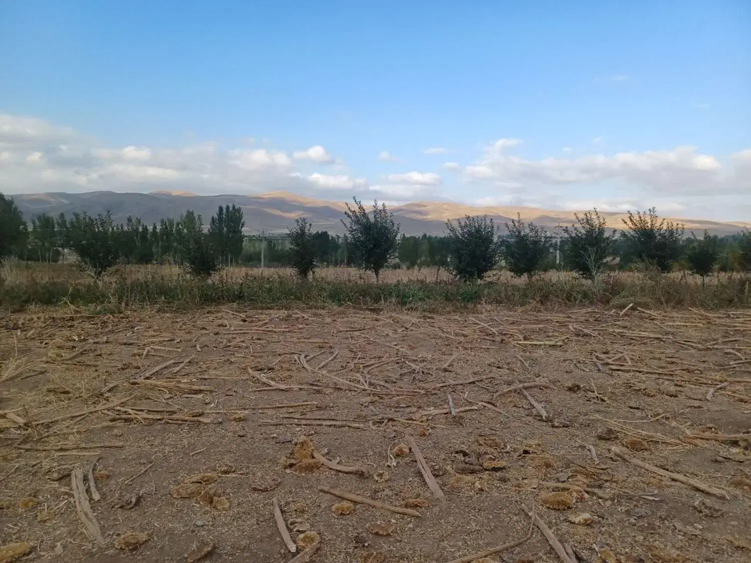 زمین کشاورزی کلوانس|فروش زمین و ملک کلنگی|صفائیه, |دیوار